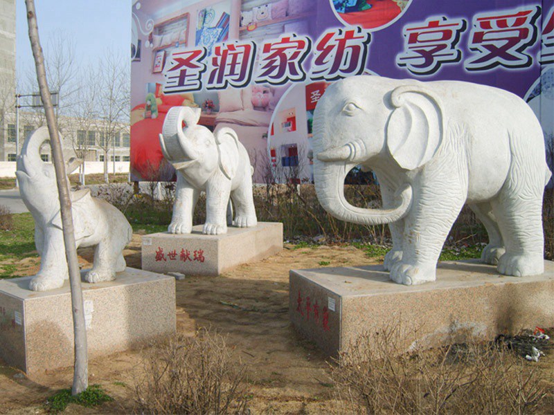 廣場(chǎng)石雕大象[編號(hào)164]